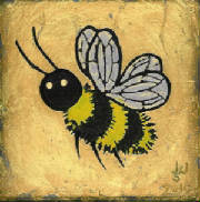 Bee34Bailey.jpg