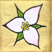 Trillium2.jpg