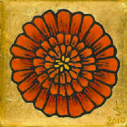 marigold01.jpg