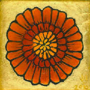 marigold03.jpg