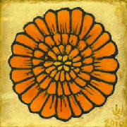 marigold04.jpg