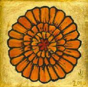 marigold05.jpg