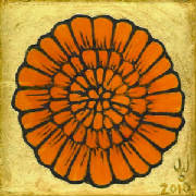 marigold06.jpg