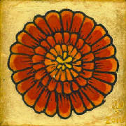 marigold07.jpg