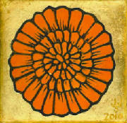 marigold09.jpg